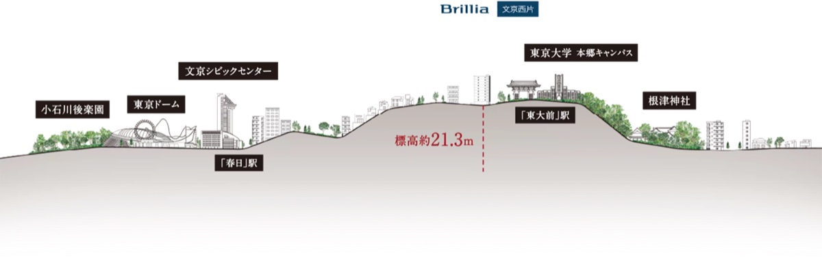 Brillia文京西片 高低差概念図（本郷台地の上・標高約21.3m）