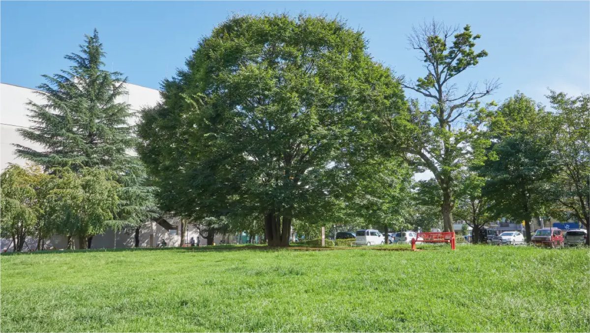 立川市子ども未来センターに併設された芝生広場「赤い公園」